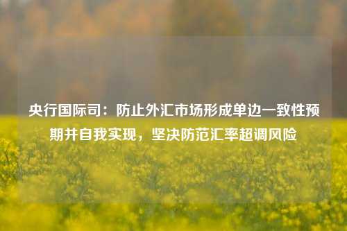 央行国际司：防止外汇市场形成单边一致性预期并自我实现，坚决防范汇率超调风险