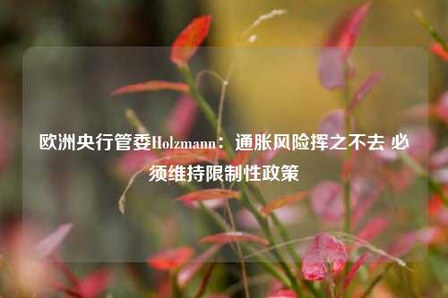 欧洲央行管委Holzmann：通胀风险挥之不去 必须维持限制性政策