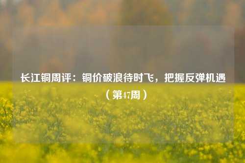 长江铜周评：铜价破浪待时飞，把握反弹机遇（第47周）