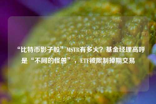 “比特币影子股”MSTR有多火？基金经理高呼是“不同的怪兽”，ETF被限制掉期交易