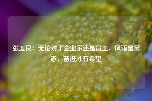 张玉良：无论对于企业家还是员工，风雨是常态，奋进才有希望