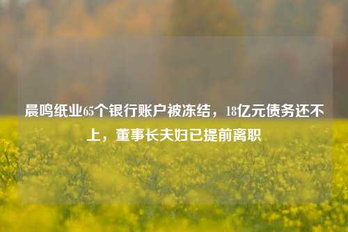 晨鸣纸业65个银行账户被冻结，18亿元债务还不上，董事长夫妇已提前离职