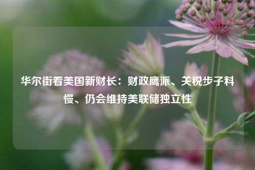 华尔街看美国新财长：财政鹰派、关税步子料慢、仍会维持美联储独立性