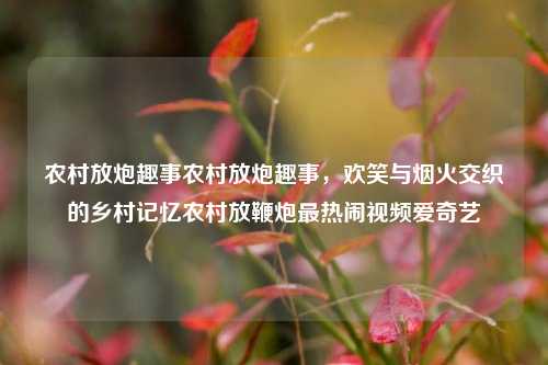 农村放炮趣事农村放炮趣事，欢笑与烟火交织的乡村记忆农村放鞭炮最热闹视频爱奇艺