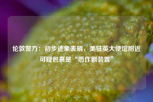 伦敦警方：初步迹象表明，美驻英大使馆附近可疑包裹是“恶作剧装置”