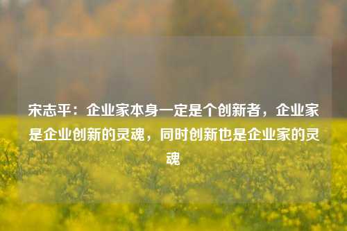 宋志平：企业家本身一定是个创新者，企业家是企业创新的灵魂，同时创新也是企业家的灵魂