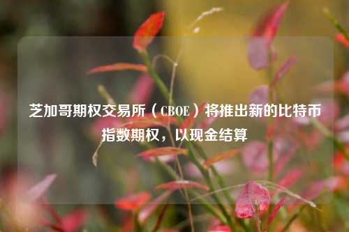 芝加哥期权交易所（CBOE）将推出新的比特币指数期权，以现金结算