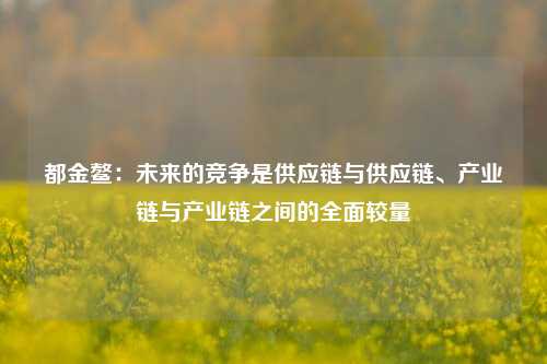 都金鳌：未来的竞争是供应链与供应链、产业链与产业链之间的全面较量