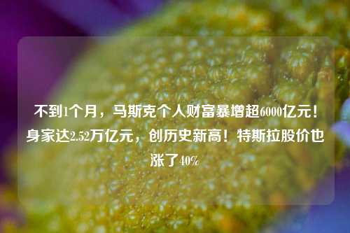 不到1个月，马斯克个人财富暴增超6000亿元！身家达2.52万亿元，创历史新高！特斯拉股价也涨了40%