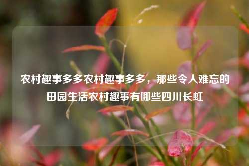 农村趣事多多农村趣事多多，那些令人难忘的田园生活农村趣事有哪些四川长虹