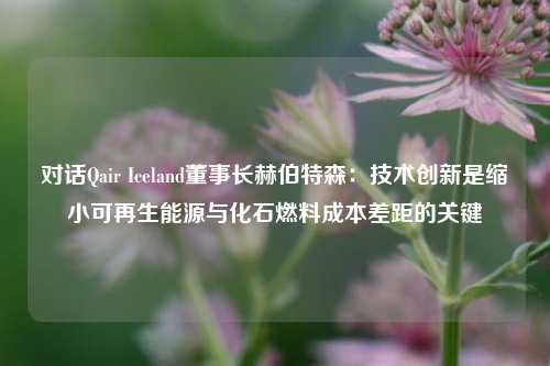 对话Qair Iceland董事长赫伯特森：技术创新是缩小可再生能源与化石燃料成本差距的关键