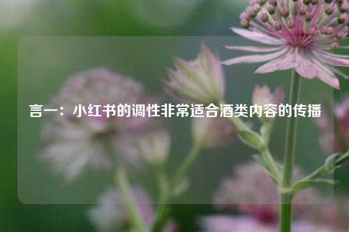 言一：小红书的调性非常适合酒类内容的传播