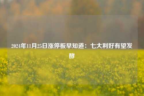 2024年11月25日涨停板早知道：七大利好有望发酵