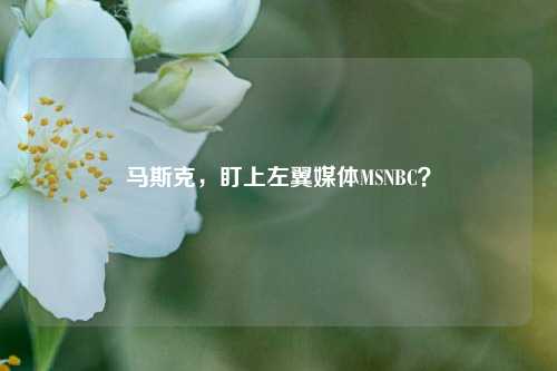 马斯克，盯上左翼媒体MSNBC？