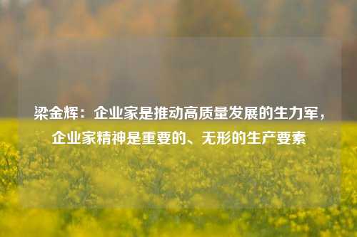 梁金辉：企业家是推动高质量发展的生力军，企业家精神是重要的、无形的生产要素