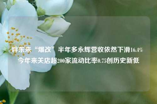 胖东来“爆改”半年多永辉营收依然下滑16.4% 今年来关店超200家流动比率0.75创历史新低