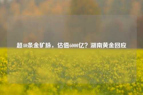 超40条金矿脉，估值6000亿？湖南黄金回应