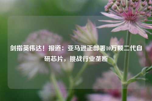 剑指英伟达！报道：亚马逊正部署10万颗二代自研芯片，挑战行业垄断