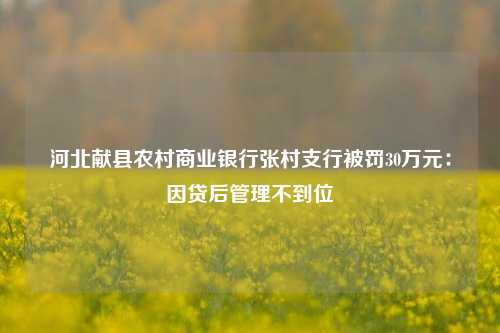 河北献县农村商业银行张村支行被罚30万元：因贷后管理不到位