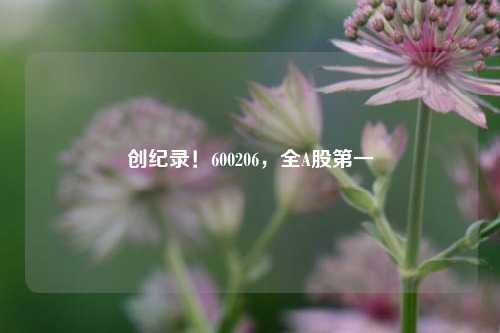 创纪录！600206，全A股第一