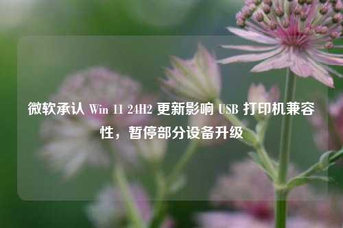 微软承认 Win 11 24H2 更新影响 USB 打印机兼容性，暂停部分设备升级