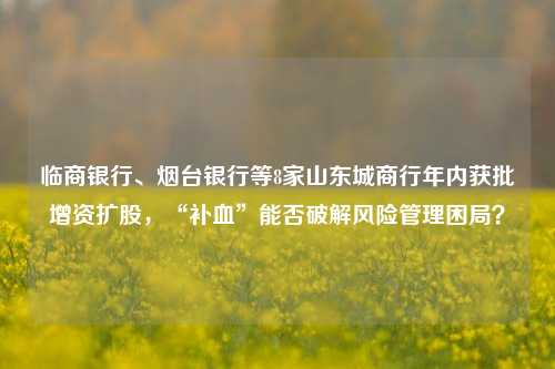 临商银行、烟台银行等8家山东城商行年内获批增资扩股，“补血”能否破解风险管理困局？