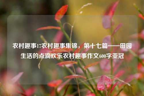 农村趣事17农村趣事集锦，第十七篇——田园生活的点滴欢乐农村趣事作文600字亚冠