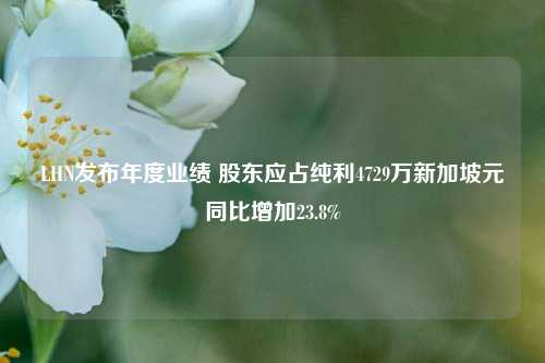 LHN发布年度业绩 股东应占纯利4729万新加坡元同比增加23.8%