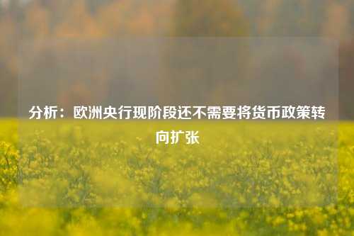 分析：欧洲央行现阶段还不需要将货币政策转向扩张