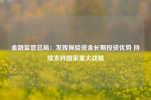 金融监管总局：发挥保险资金长期投资优势 持续支持国家重大战略