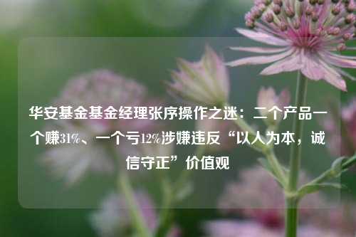 华安基金基金经理张序操作之迷：二个产品一个赚31%、一个亏12%涉嫌违反“以人为本，诚信守正”价值观