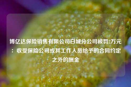 博亿达保险销售有限公司白城分公司被罚2万元：收受保险公司或其工作人员给予的合同约定之外的酬金