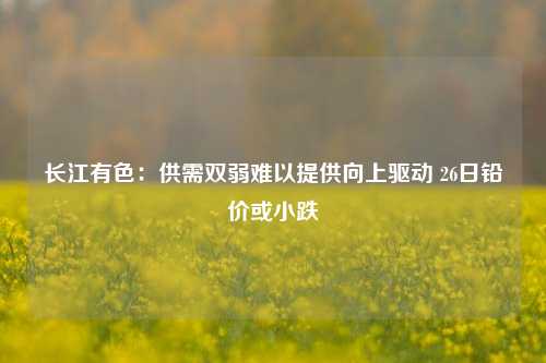 长江有色：供需双弱难以提供向上驱动 26日铅价或小跌