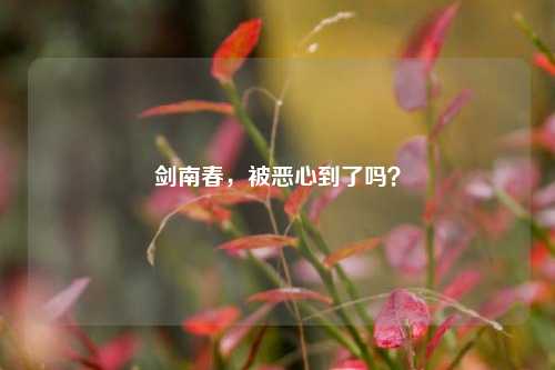 剑南春，被恶心到了吗？