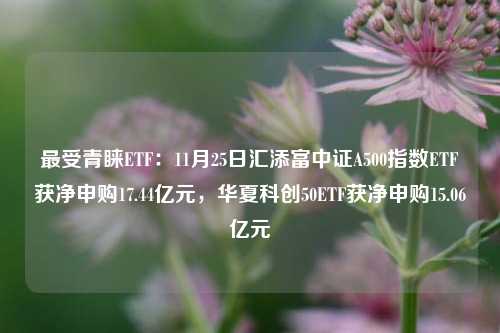 最受青睐ETF：11月25日汇添富中证A500指数ETF获净申购17.44亿元，华夏科创50ETF获净申购15.06亿元