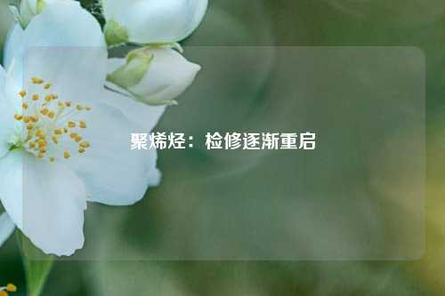 聚烯烃：检修逐渐重启