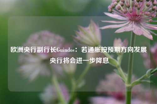 欧洲央行副行长Guindos：若通胀按预期方向发展 央行将会进一步降息