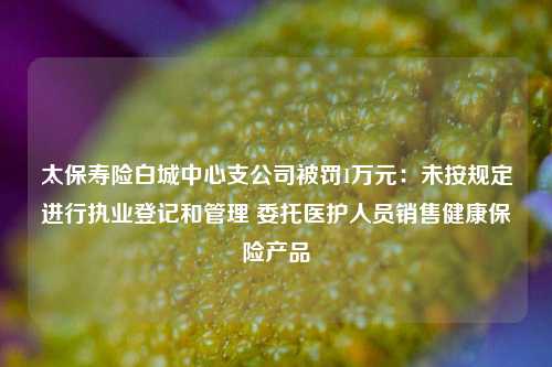 太保寿险白城中心支公司被罚1万元：未按规定进行执业登记和管理 委托医护人员销售健康保险产品