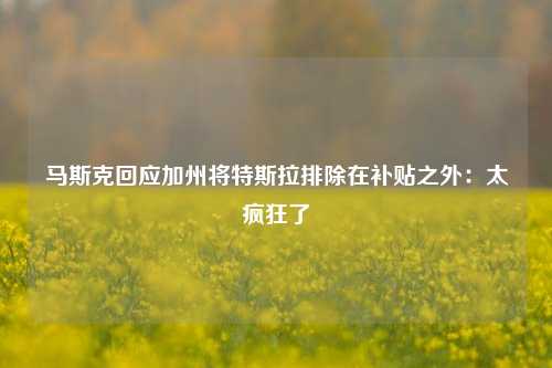 马斯克回应加州将特斯拉排除在补贴之外：太疯狂了