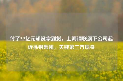 付了2.2亿元却没拿到货，上海钢联旗下公司起诉徐钢集团，关键第三方现身