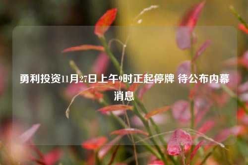 勇利投资11月27日上午9时正起停牌 待公布内幕消息