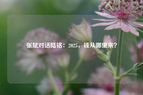 张斌对话陆铭：2025，钱从哪里来？