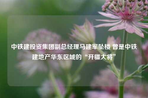 中铁建投资集团副总经理马建军坠楼 曾是中铁建地产华东区域的“开疆大将”