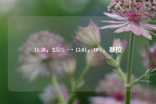 11:30，2.55% → 13:01，10%，暴拉