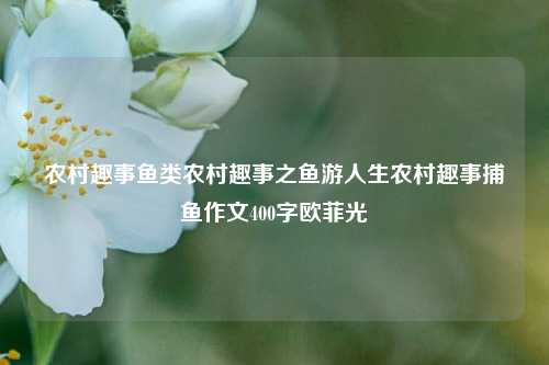 农村趣事鱼类农村趣事之鱼游人生农村趣事捕鱼作文400字欧菲光