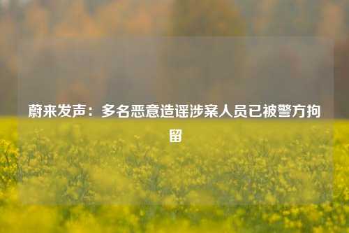 蔚来发声：多名恶意造谣涉案人员已被警方拘留