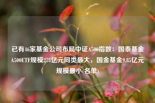 已有46家基金公司布局中证A500指数：国泰基金A500ETF规模278亿元同类最大，国金基金9.85亿元规模最小(名单)