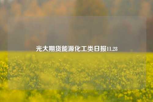 光大期货能源化工类日报11.28