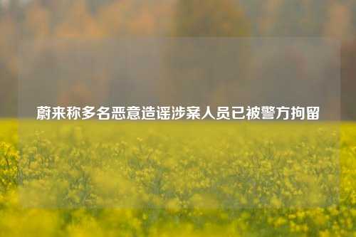 蔚来称多名恶意造谣涉案人员已被警方拘留