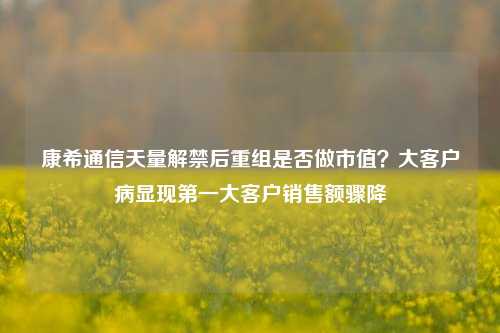 康希通信天量解禁后重组是否做市值？大客户病显现第一大客户销售额骤降